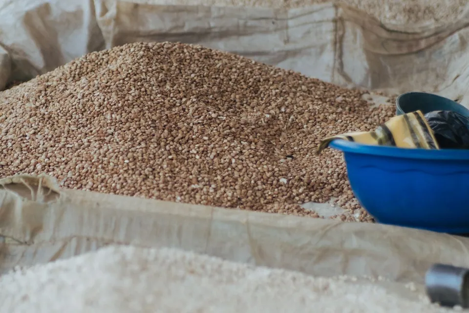 Grains and legumes displayed in sacks at a market