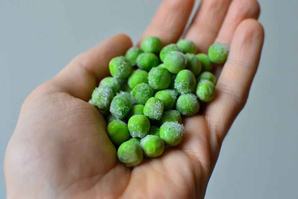 Hand holding frozen green peas