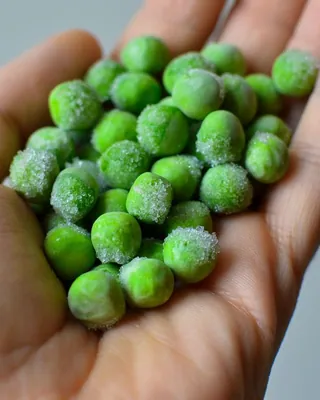 Hand holding frozen green peas