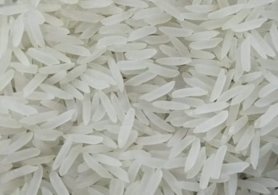 Rice - 386 Sella (1)